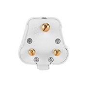 plug front view