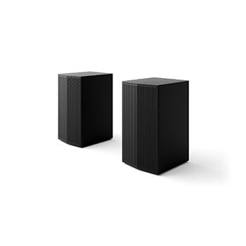Angled view of Rear Speakers