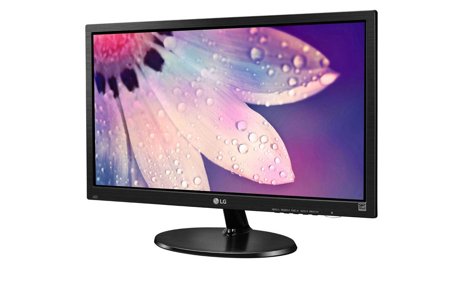 LG 19 (48.26cm) FHD LED Office Monitor, 19M38AB-B