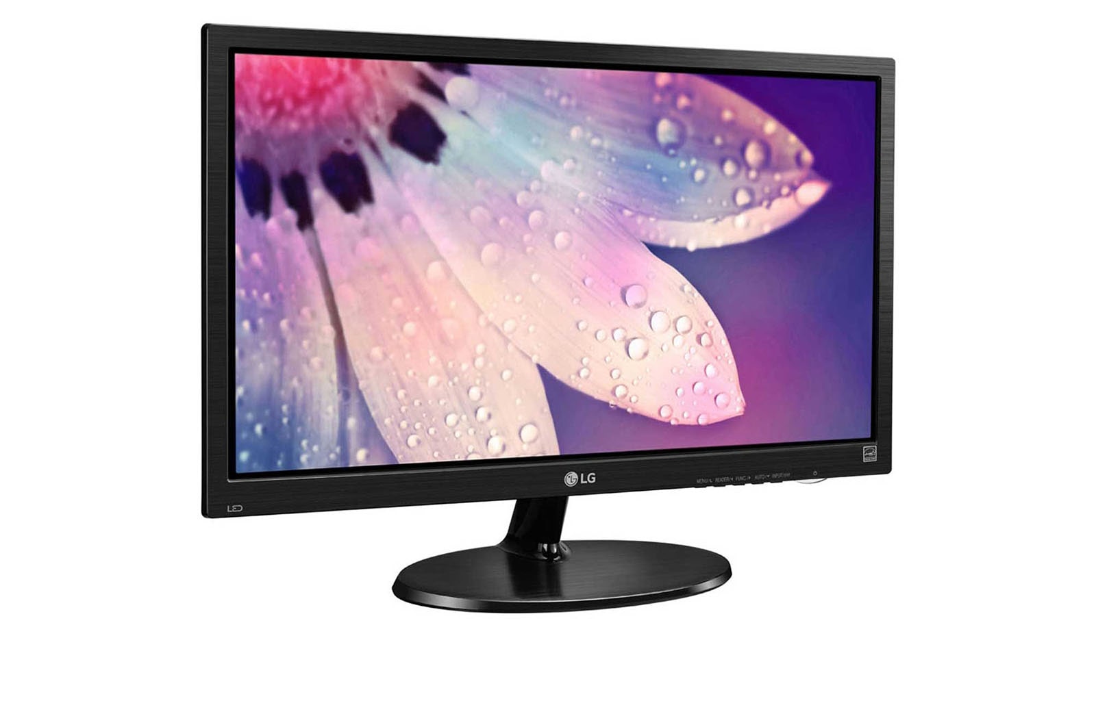 LG 19 (48.26cm) FHD LED Office Monitor, 19M38AB-B