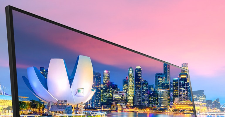 LG 29WL500-B IPS Display