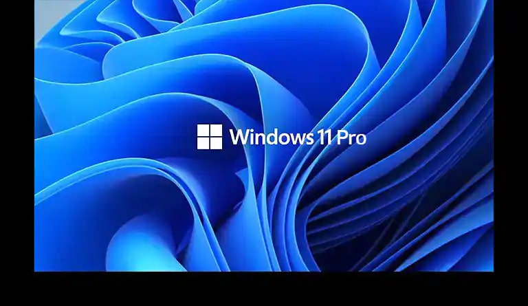 It shows the Windows11 logo and background image.