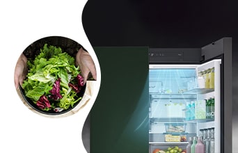 5 Must-Have Features in Modern Refrigerators: A Deep Dive into LG's Refrigerators