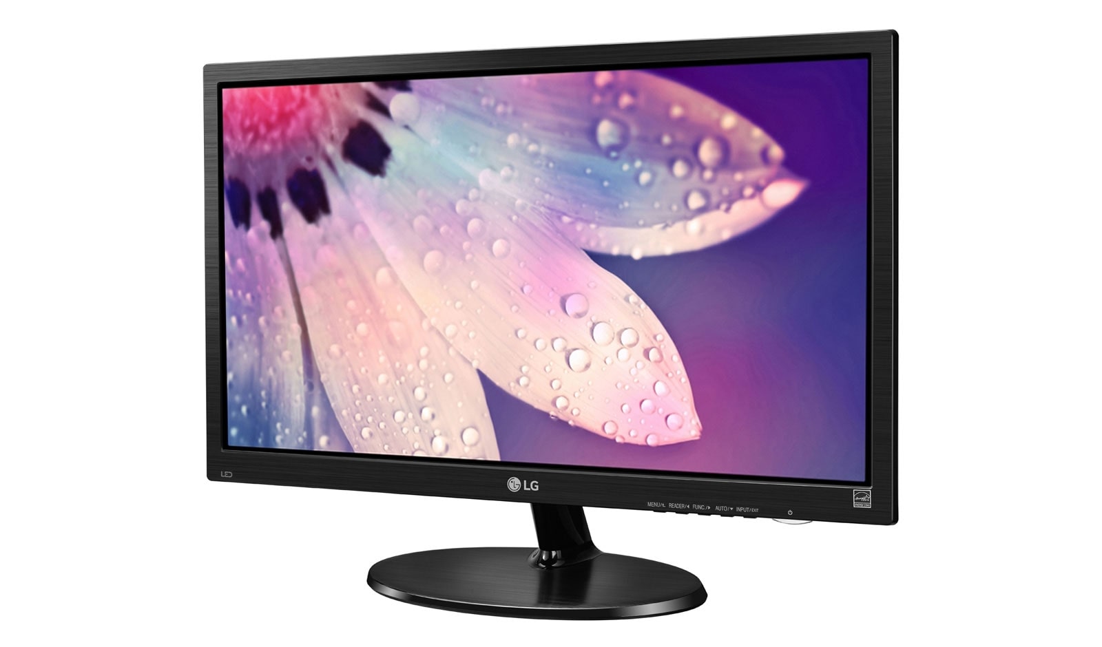 LG 48.26 cm (19) FHD LED Monitor, OnScreen Control, Color Weakness Mode, Reader Mode, Flicker Safe, 19M38AB-B