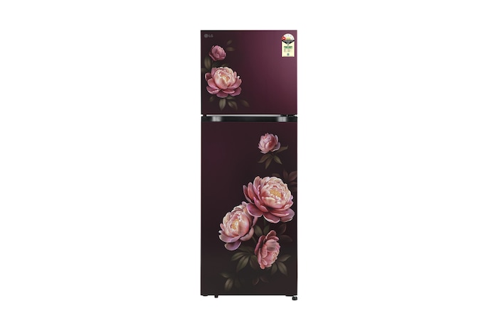 LG GLT2516WWWG Double Door Refrigerator front view