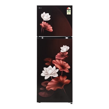 Front view of LG 251L Double Door Refrigerator, Convertible, Auto Smart Connect, Smart Inverter Compressor, Multi Air Flow, Scarlet Lotus, 2 Star GLT2526XWSL