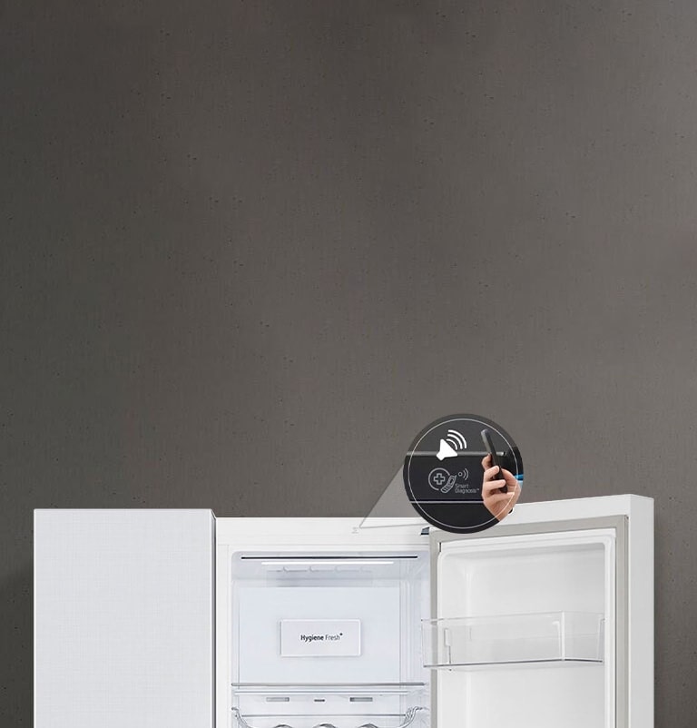 Refrigerator Smart Diagnosis