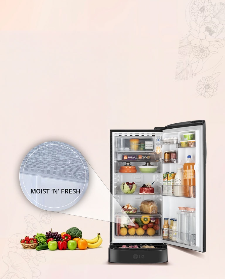 Moist ‘N’ Fresh