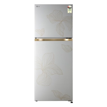 Front view of LG 225L Double Door Refrigerator with Smart Mode, Auto Smart Connect, Smart Inverter Compressor, Multi Air Flow, Radiant Inox, 1 Star GLT2216WYRI