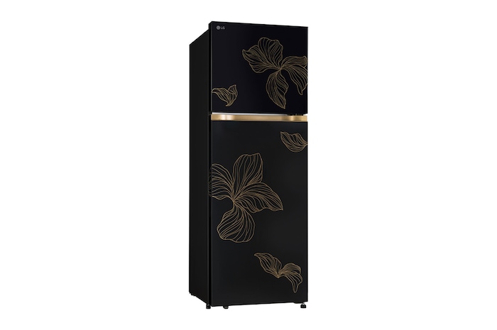 left view