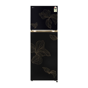 Front view of LG 251L Double Door Refrigerator with Smart Mode, Auto Smart Connect, Smart Inverter Compressor, Multi Air Flow, Radiant Onyx, 1 Star GLT2516WXRO