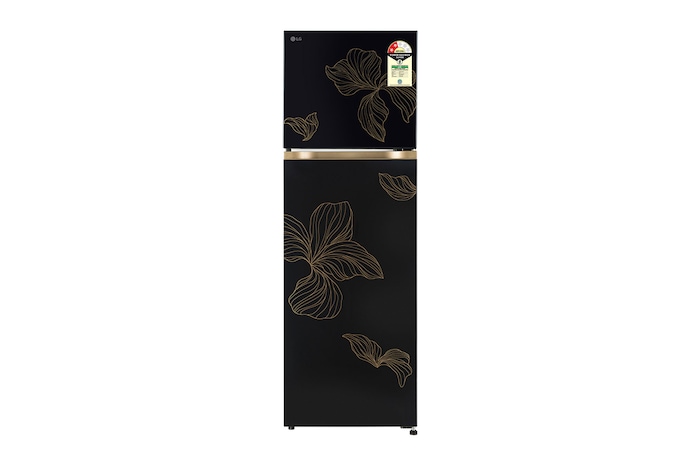 LG GLT2826XWRO Double Door Refrigerator front view