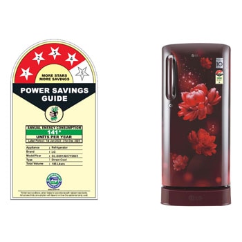 front view with food