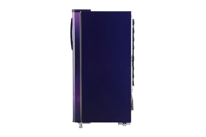 LG 185L, 3 Star, Blue Euphoria Finish, Direct Cool Single Door Refrigerator, GL-B199OBED