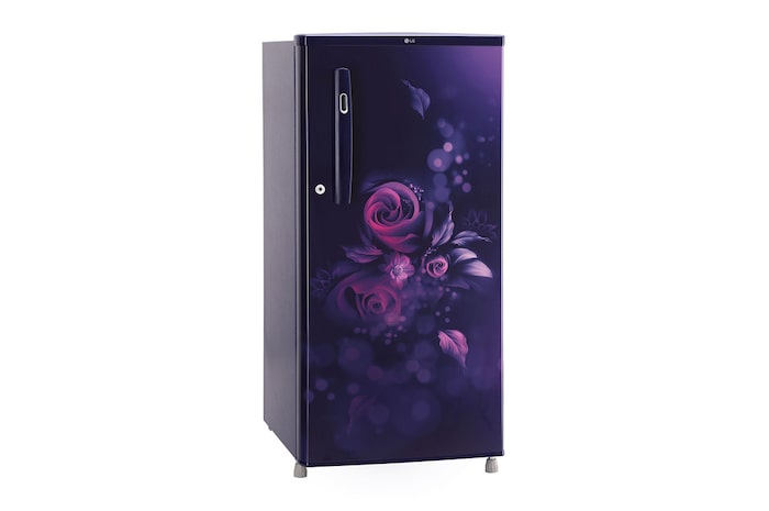 LG 185L, 3 Star, Blue Euphoria Finish, Direct Cool Single Door Refrigerator, GL-B199OBED