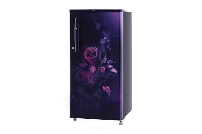 LG 185L, 3 Star, Blue Euphoria Finish, Direct Cool Single Door Refrigerator, GL-B199OBED
