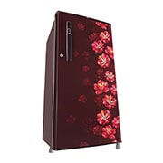 LG 185L, 1 Star, Scarlet Jasmine Finish, Direct Cool Single Door Refrigerator, GL-B199OSJB