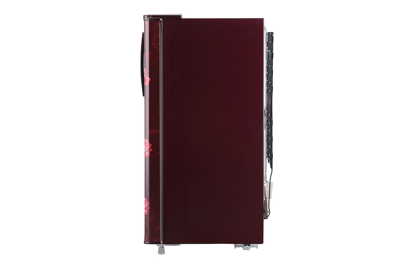 LG 185L, 1 Star, Scarlet Jasmine Finish, Direct Cool Single Door Refrigerator, GL-B199OSJB