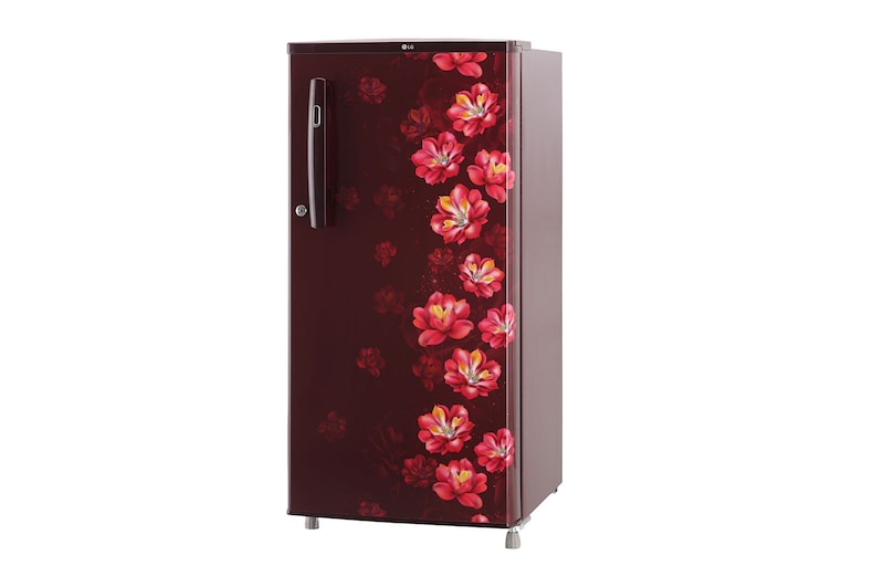LG 185L, 1 Star, Scarlet Jasmine Finish, Direct Cool Single Door Refrigerator, GL-B199OSJB