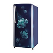 LG 201L, 3 Star, Blue Charm Finish, Direct Cool Single Door Refrigerator, GL-B211HBCD