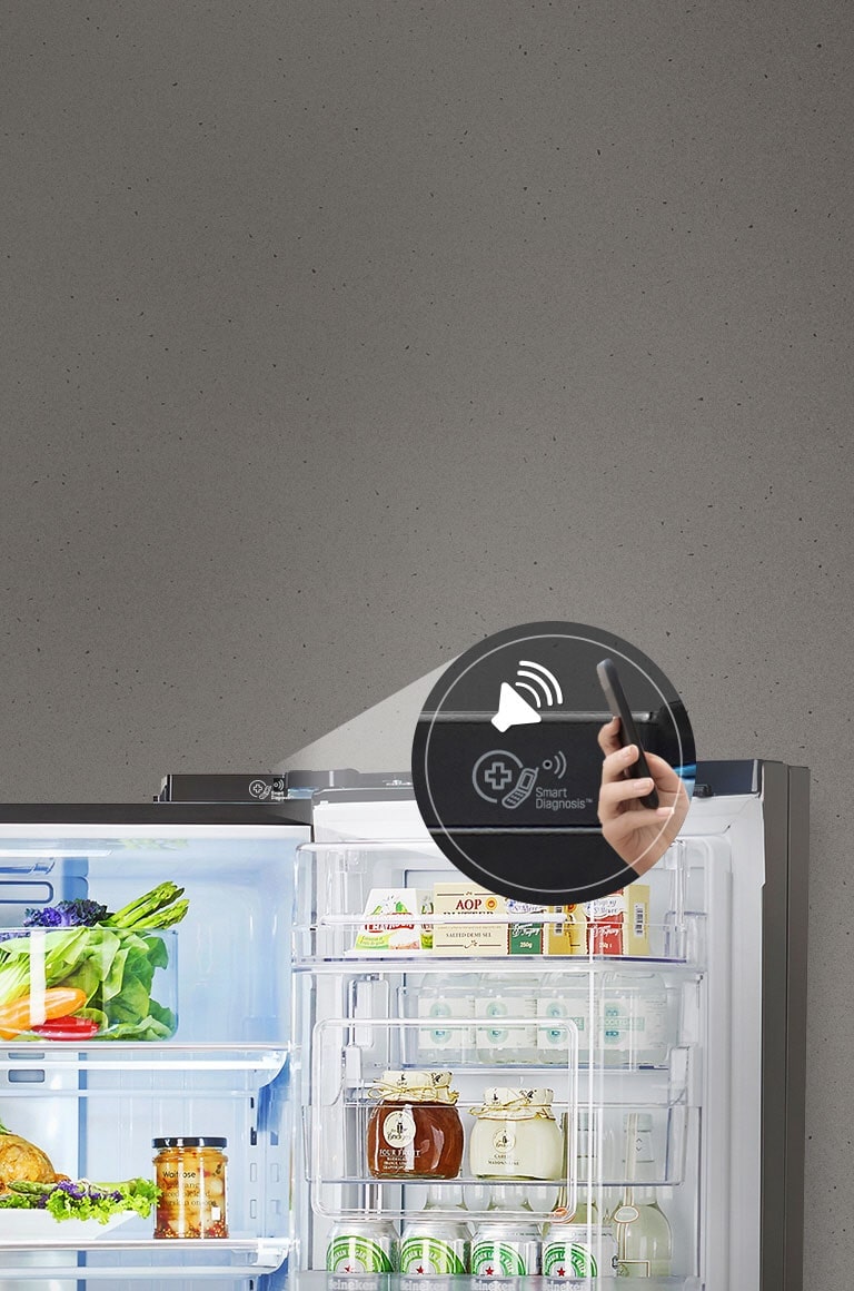 LG Refrigerator Smart Diagnosis
