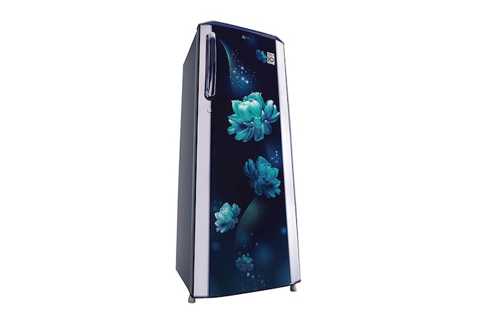LG 261L Single Door Refrigerator, Smart Inverter Compressor, Smart Connect, Blue Charm Finish, 3 Star, GL-B281BBCX