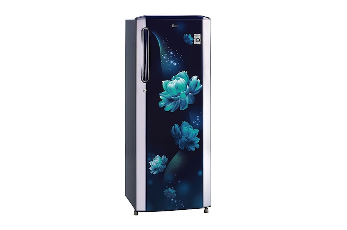 LG 261L Single Door Refrigerator, Smart Inverter Compressor, Smart Connect, Blue Charm Finish, 3 Star, GL-B281BBCX