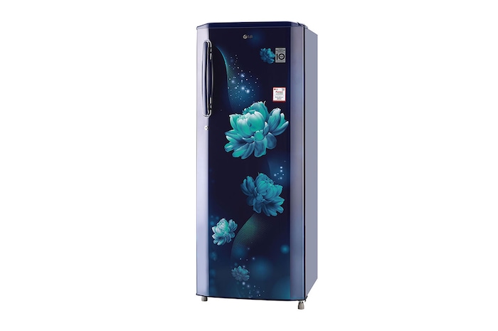 LG 261L Single Door Refrigerator, Smart Inverter Compressor, Smart Connect, Blue Charm Finish, 3 Star, GL-B281BBCX