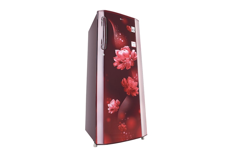 LG 261L Single Door Refrigerator, Smart Inverter Compressor, Smart Connect, Scarlet Charm Finish, 3 Star, GL-B281BSCX