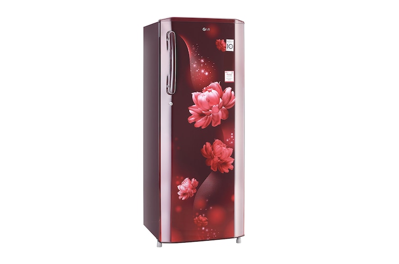 LG 261L Single Door Refrigerator, Smart Inverter Compressor, Smart Connect, Scarlet Charm Finish, 3 Star, GL-B281BSCX