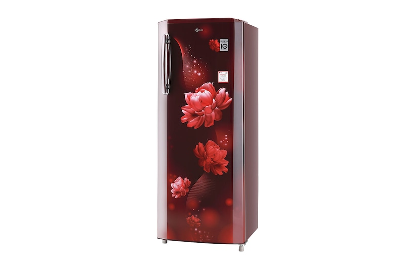 LG 261L Single Door Refrigerator, Smart Inverter Compressor, Smart Connect, Scarlet Charm Finish, 3 Star, GL-B281BSCX