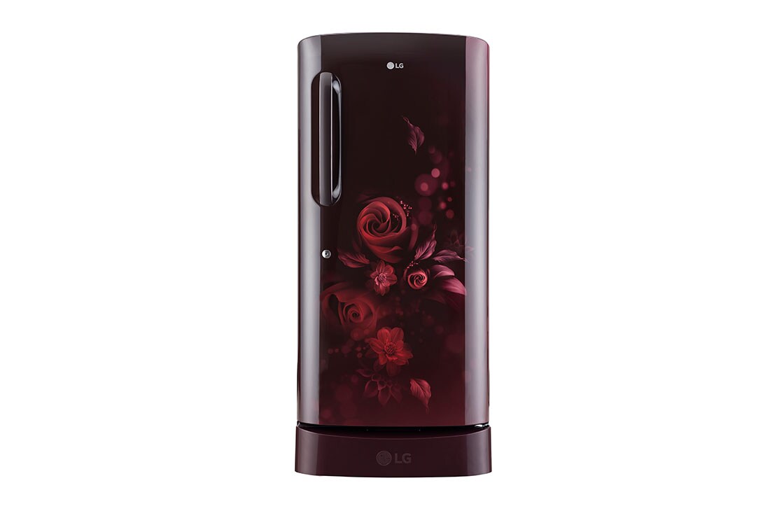 LG GL-D221ASEZ single door refrigerator front view