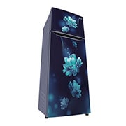 GL-N292BBCY-Refrigerators-Left-View-Door-Open-Without-Content