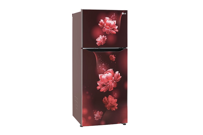 LG GL-N292BSCY-Refrigerators-Right-View