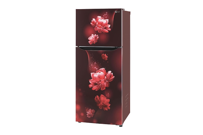 LG GL-N292BSCY-Refrigerators-Left-View