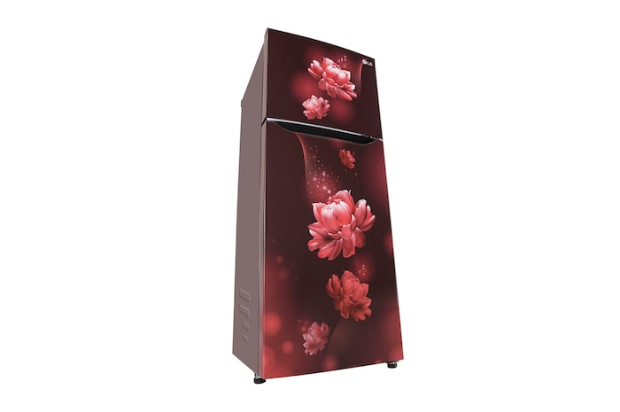 LG GL-N292BSCYRefrigerators-Left-View-Door-Open-Without-Content