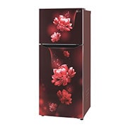 LG GL-N292BSCY-Refrigerators-Left-View