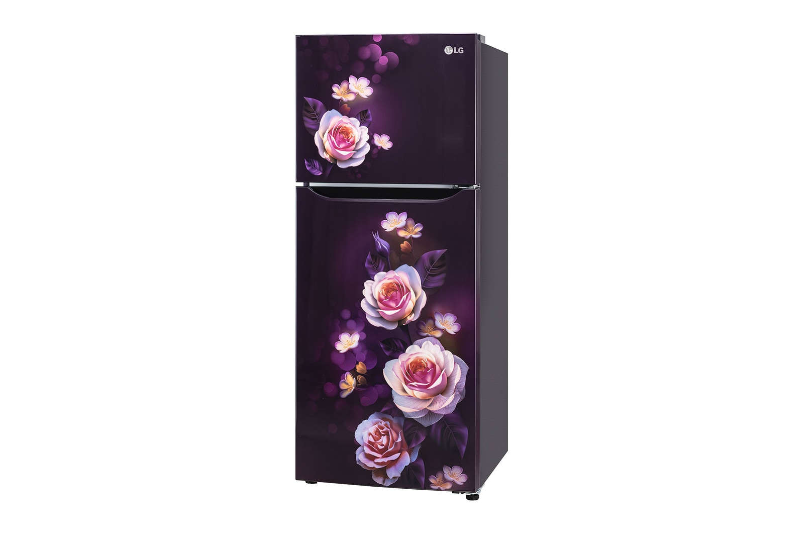GL-N292DPBY-Refrigerators-Right-View