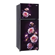 GL-N292DPBY-Refrigerators-Left-View