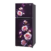 GL-N292DPBY-Refrigerators-Right-View