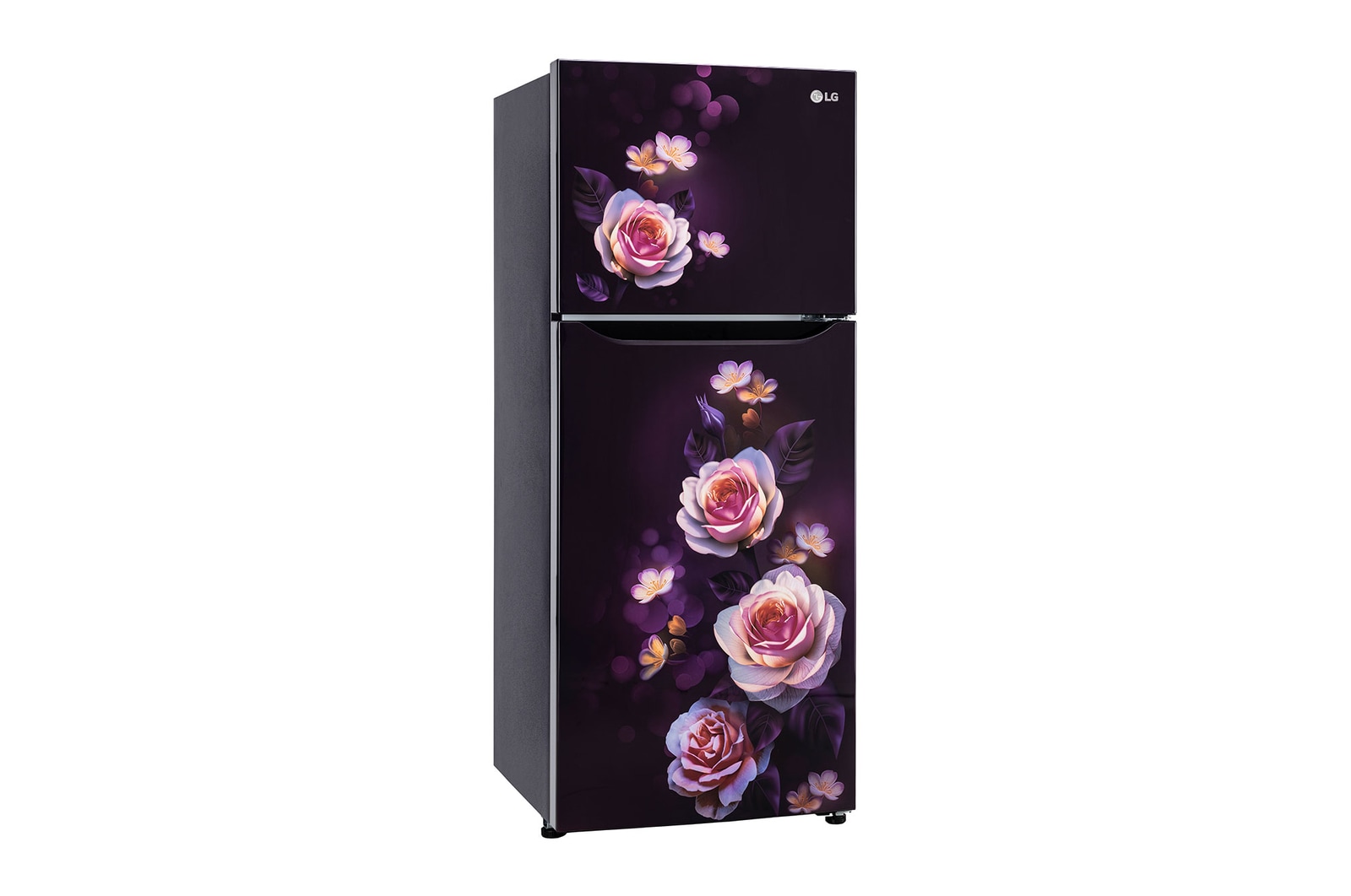 GL-N292DPBY-Refrigerators-Left-View