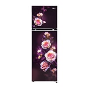 LG GL-N312SPBY double-door-refrigerators front-View