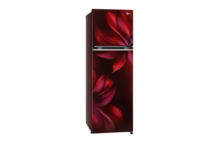 GL-S262SSAX-Refrigerators--Right-View