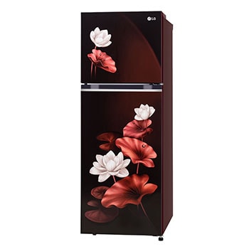 LG GL-S262SSLX Refrigerators Left Low Perspective View