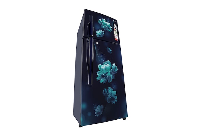LG 240L Double Door Refrigerator, MOIST ‘N’ FRESH, Blue Charm Finish, 2 Star, GL-S292RBCY