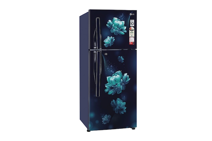 LG 240L Double Door Refrigerator, MOIST ‘N’ FRESH, Blue Charm Finish, 2 Star, GL-S292RBCY