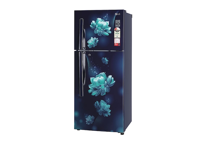 LG 240L Double Door Refrigerator, MOIST ‘N’ FRESH, Blue Charm Finish, 2 Star, GL-S292RBCY