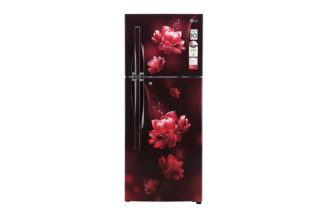 LG GL-S292RSCY double door refrigerator front view