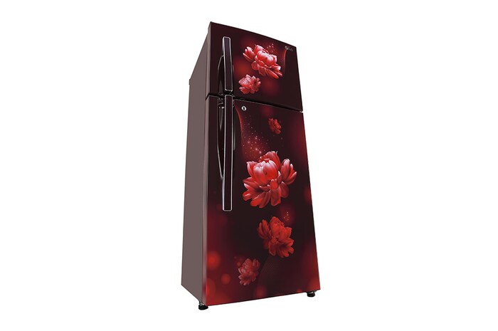 LG 240L Double Door Refrigerator, Convertible, Scarlet Charm Finish, 2 Star, GL-S292RSCY