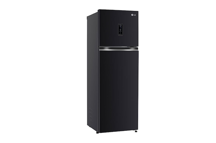 LG 272L Double Door Refrigerator, Wi-Fi Convertible, Door Cooling+™, Ebony Sheen Finish, 3 Star, GL-T312TESX